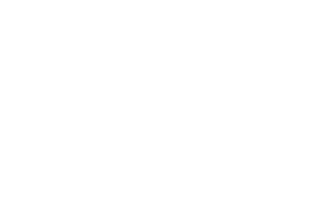 lansum